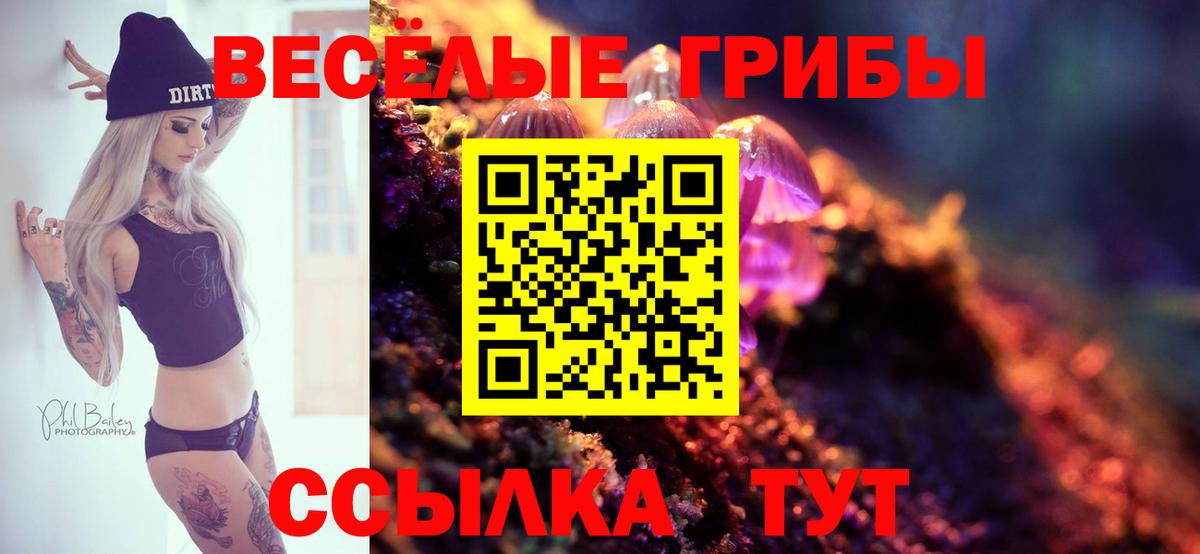 Галлюциногенные грибы прущие грибы  Вход с VPN  Магадан 